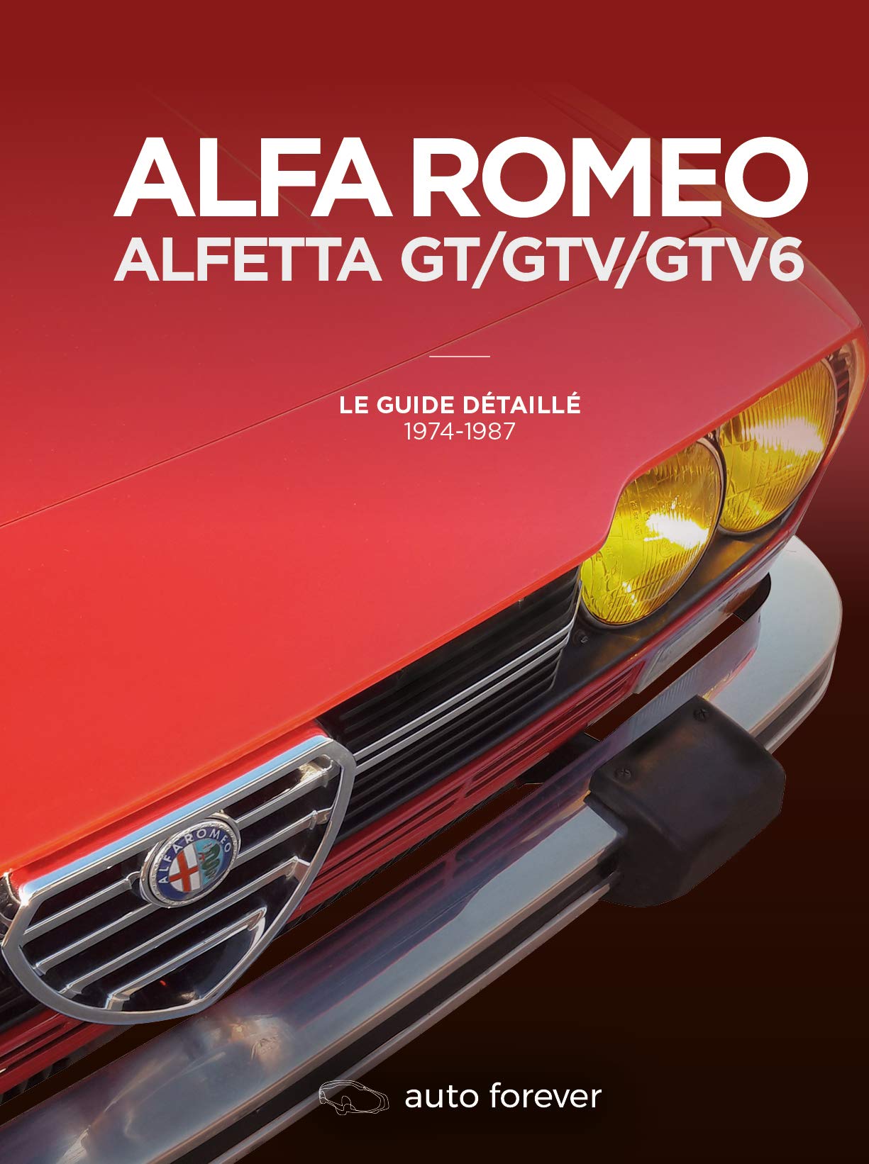 Alfa Romeo Alfetta GT/GTV/GTV6: Le guide détaillé 1974-1987 book