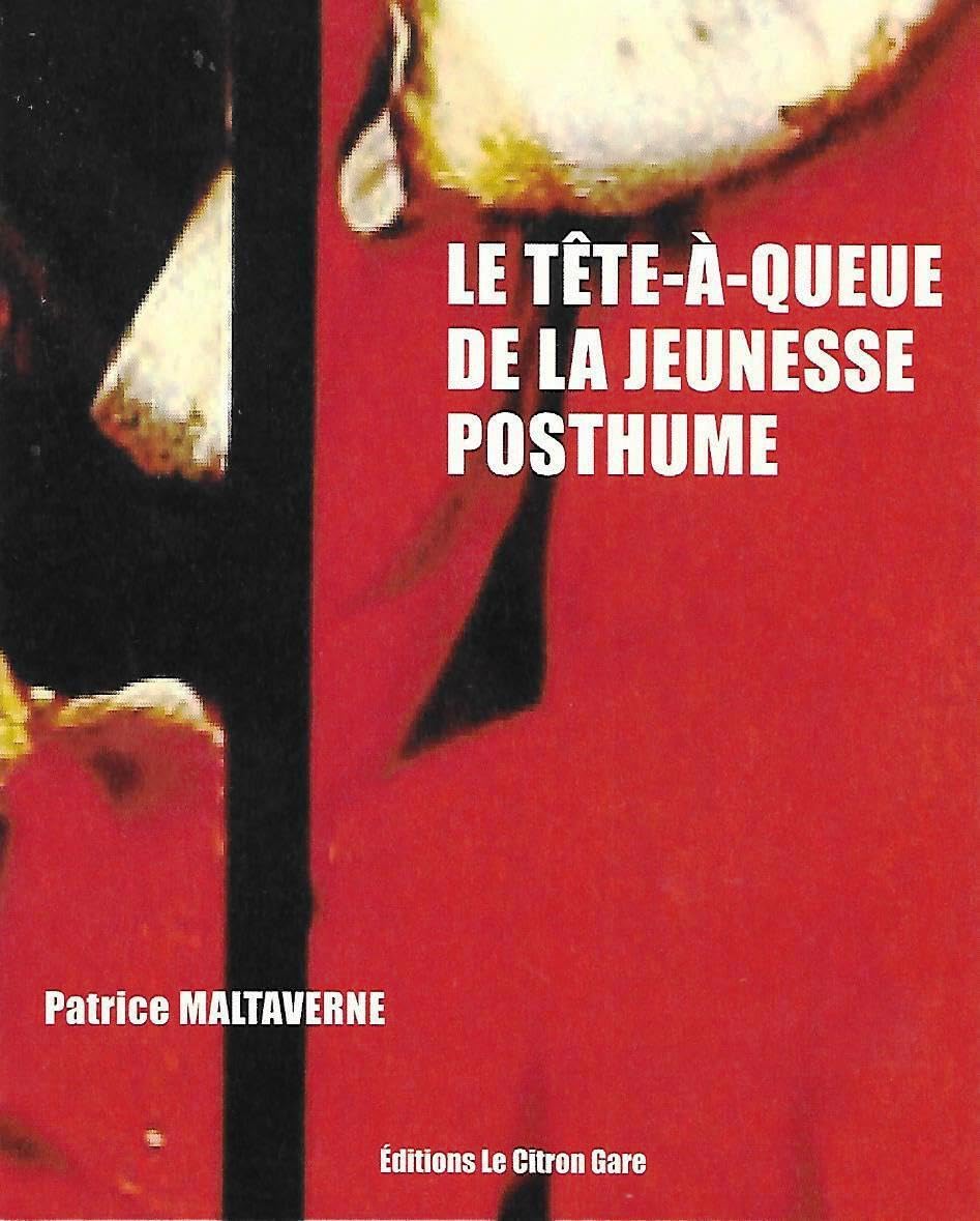 LE TÊTE-À-QUEUE DE LA JEUNESSE POSTHUME book