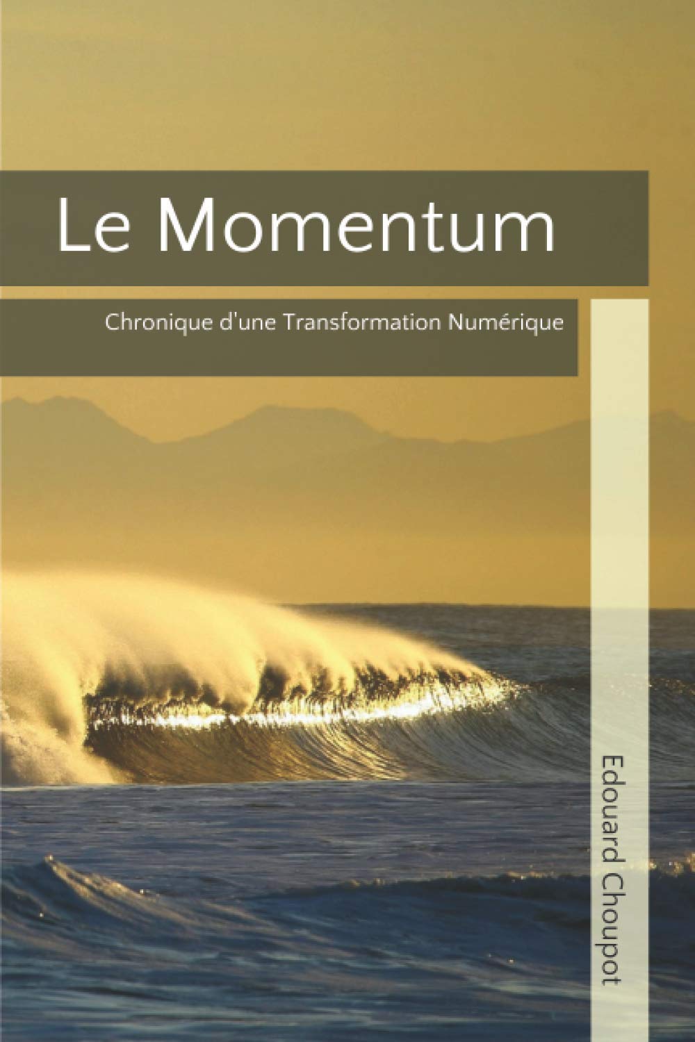 Le Momentum: Chronique d'une Transformation Numérique book