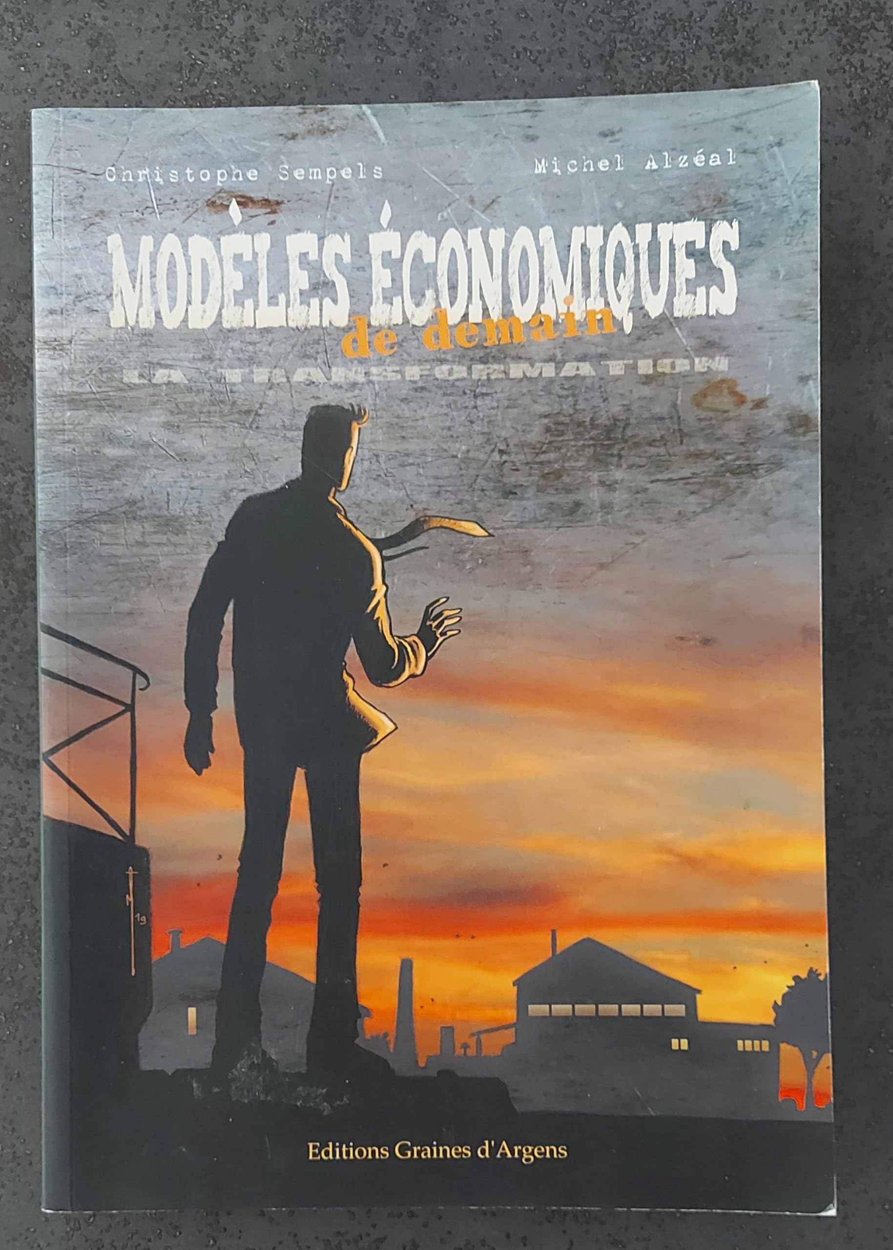 Modeles economiques de demain: La transformation book
