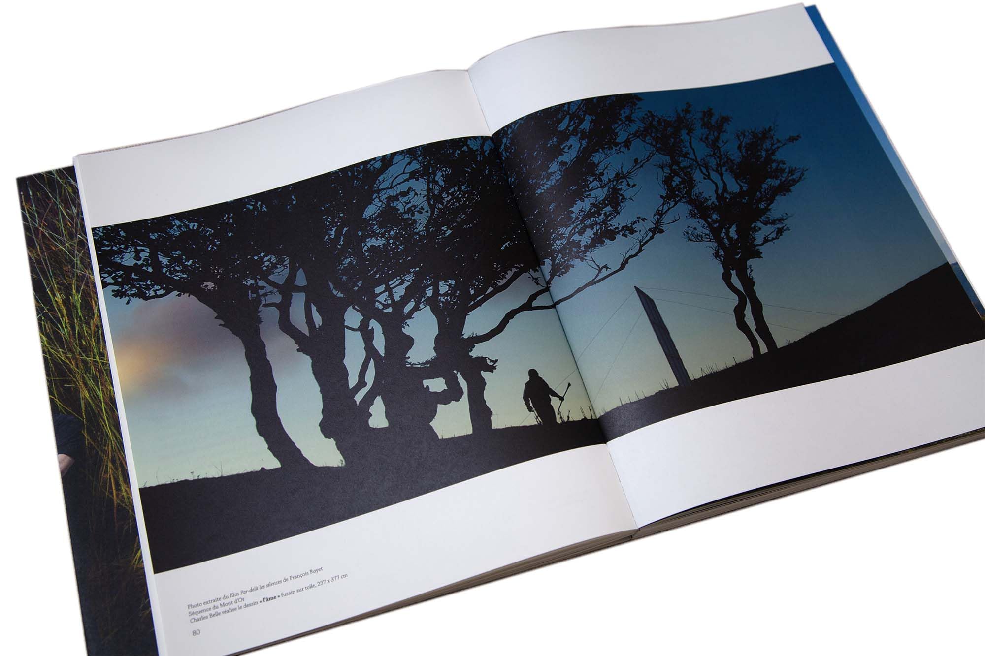 La moindre des choses et le silence: Charles Belle book