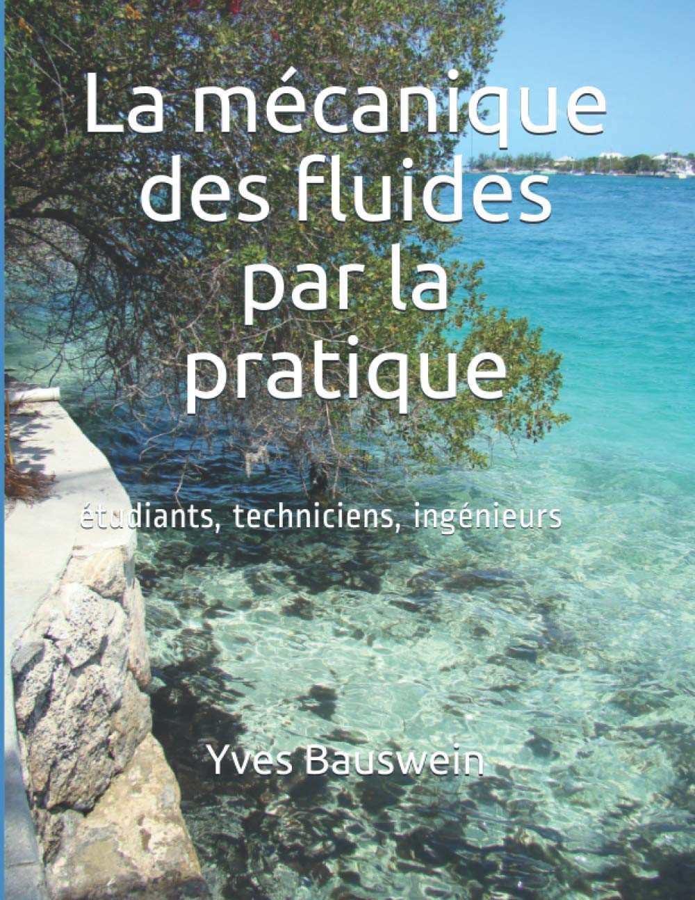 La mécanique des fluides par la pratique book
