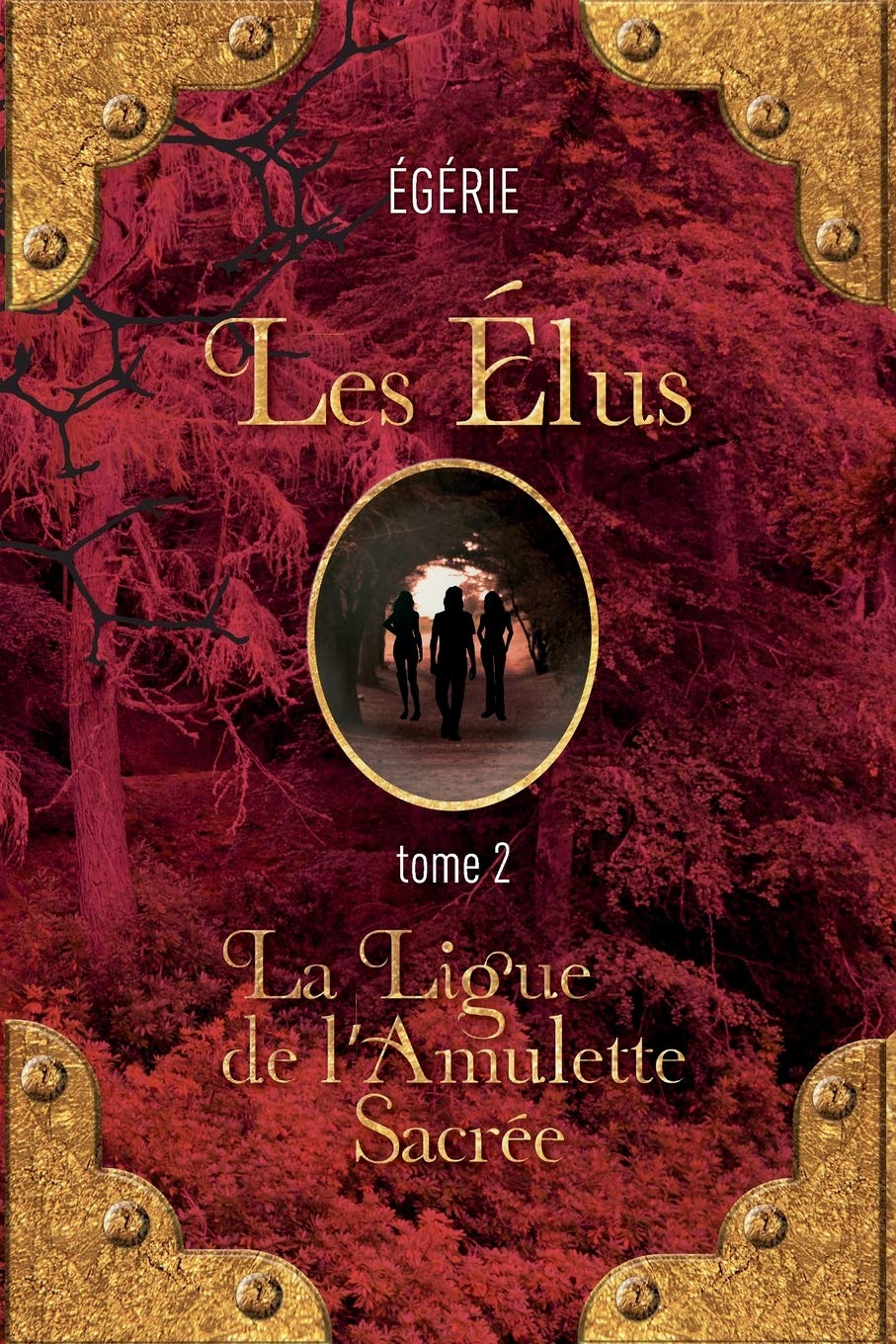 Les Elus: La Ligue de l'Amulette Sacree Books