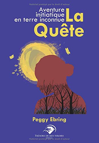 La quête: Aventure initiatique en terre inconnue (roman initiatique) book