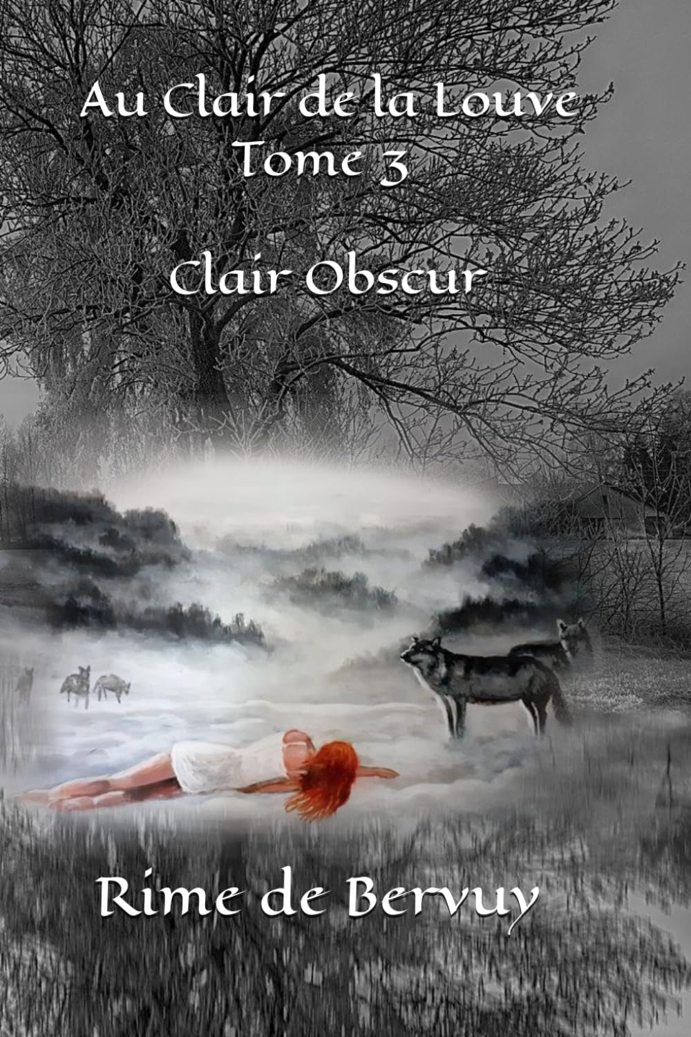 Au Clair de la Louve, Tome 3, Clair Obscur book