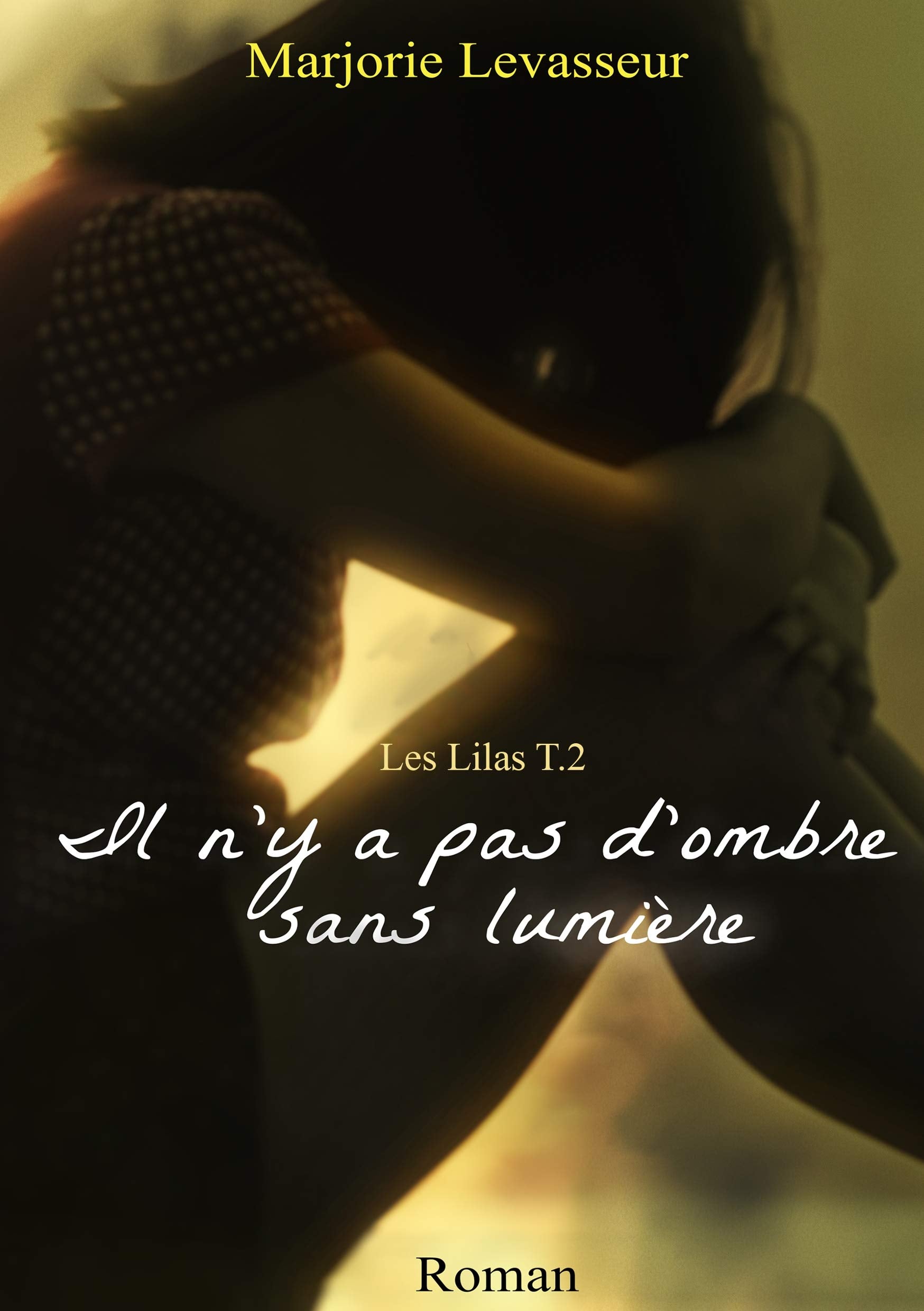 Il n'y a pas d'ombre sans lumière book