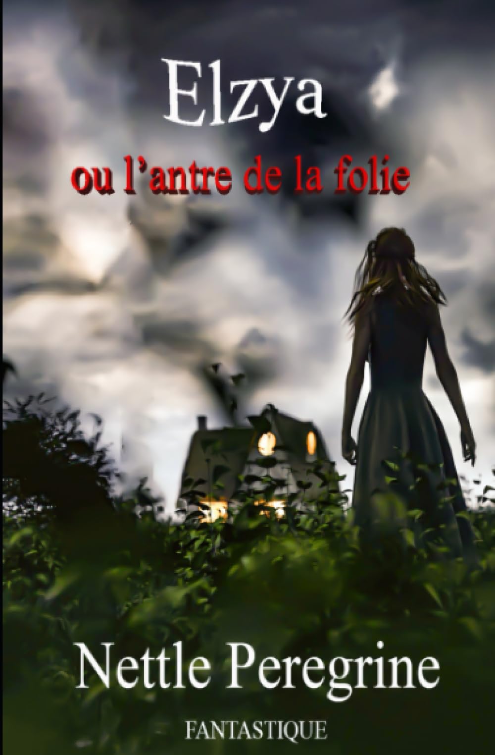Elzya: ou l'antre de la folie book