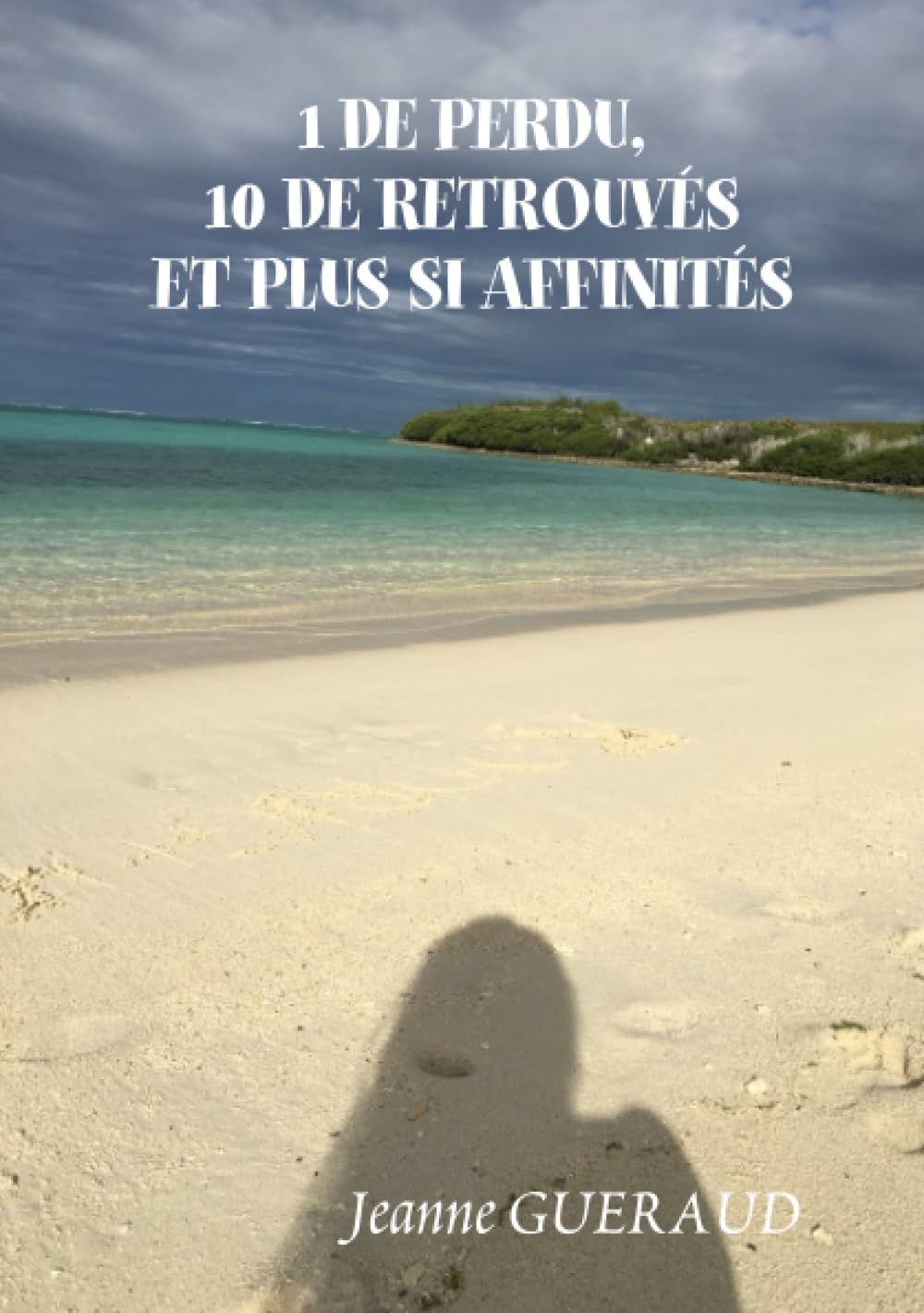 1 DE PERDU, 10 DE RETROUVES ET PLUS SI AFFINITÉS Contemporary literature
