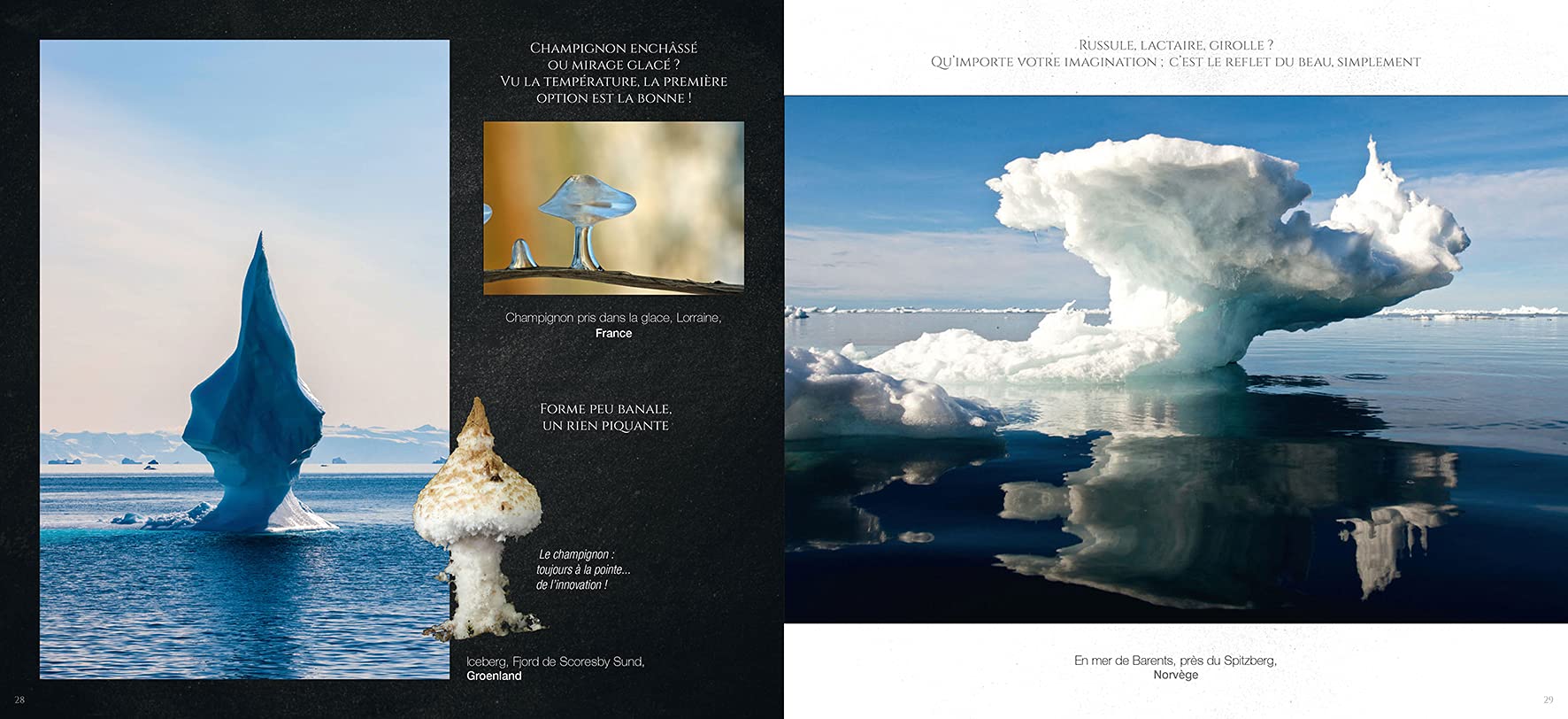 En forme de champignon: Voyages & paréidolies aux quatre coins du monde book
