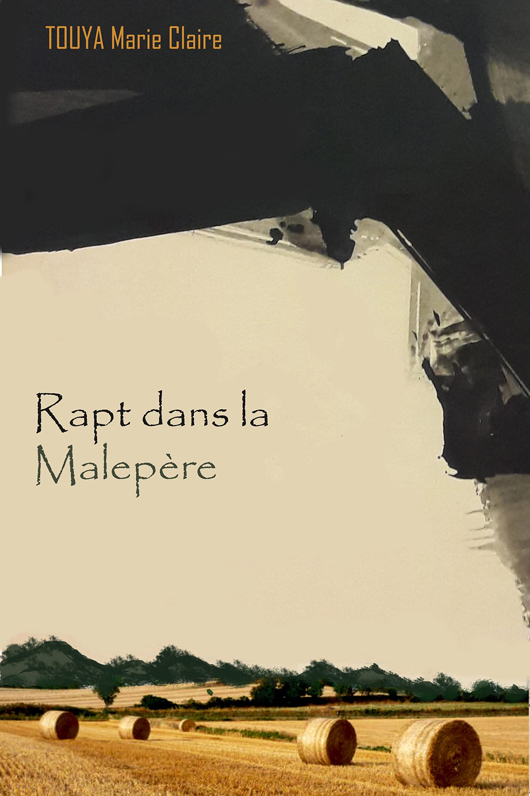 Rapt dans la Malepère book