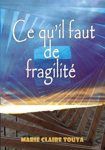 Ce qu'il faut de fragilité book