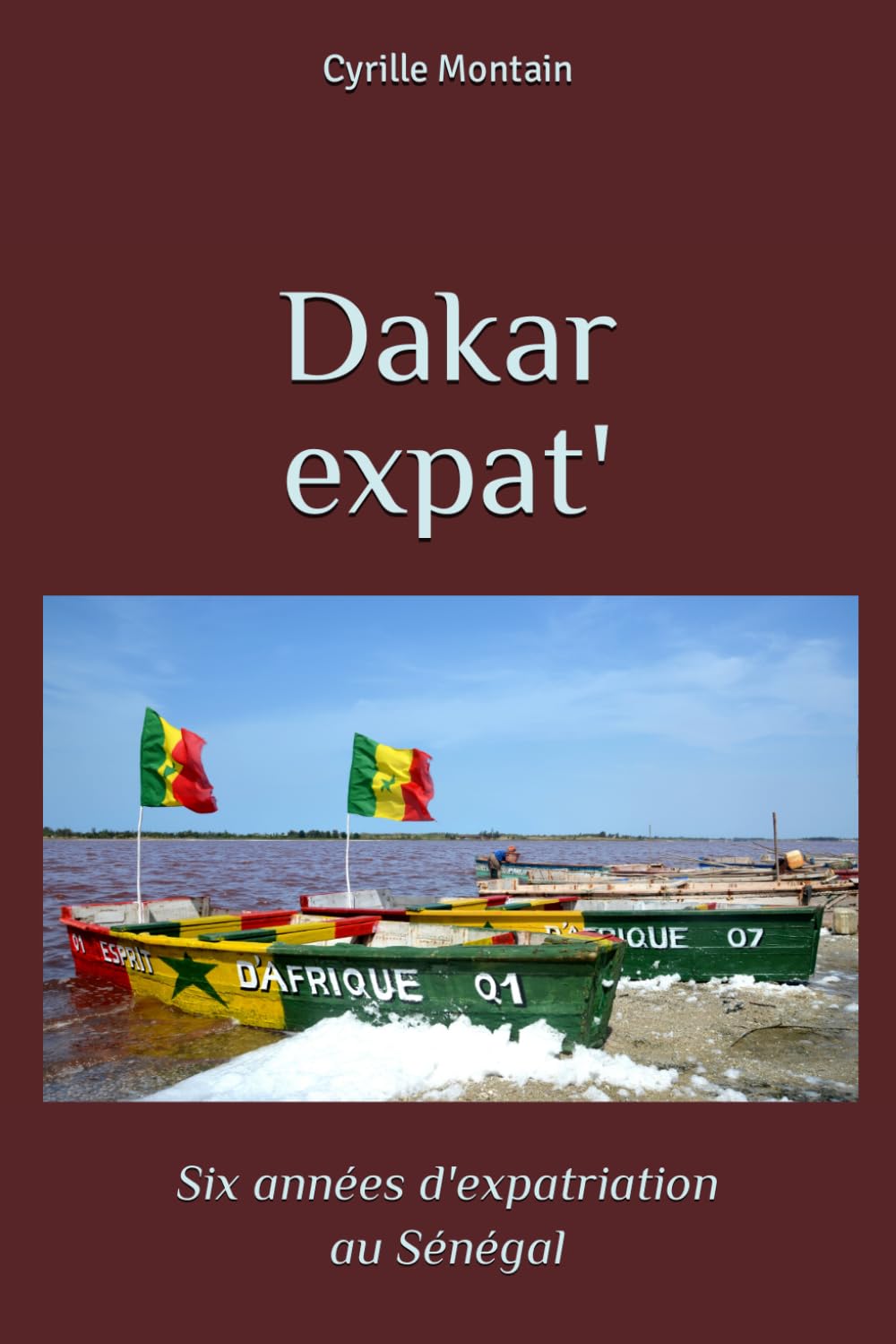 Dakar expat': Six années d'expatriation au Sénégal book