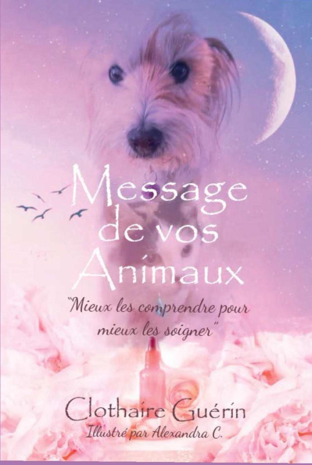 Message de vos animaux: Mieux les comprendre pour mieux les soigner book
