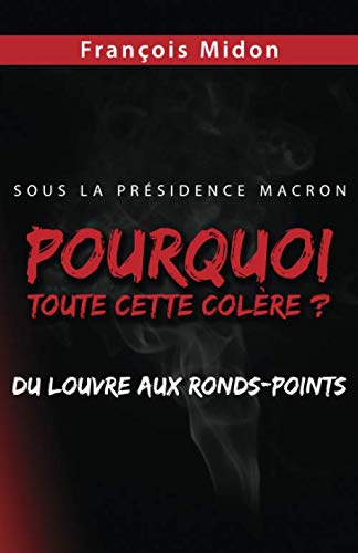 Pourquoi toute cette colère ?: Sous la Présidence Macron, du Louvre aux ronds-points book