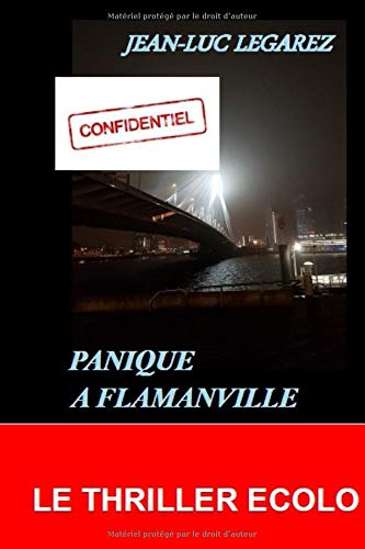 PANIQUE A FLAMANVILLE book