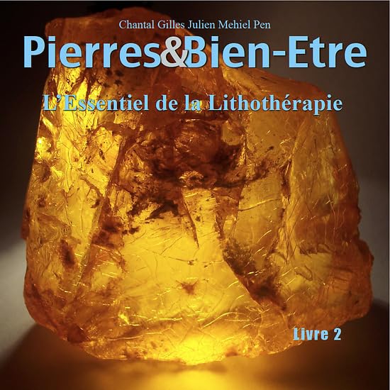 Pierres & bien-etre livre 2: L'essentiel de la lithotherapie book