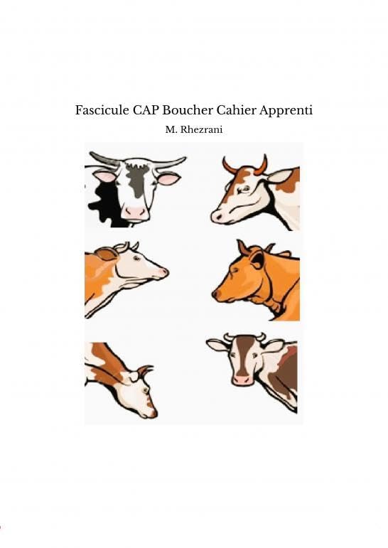 Fascicule CAP Boucher Cahier Apprenti book