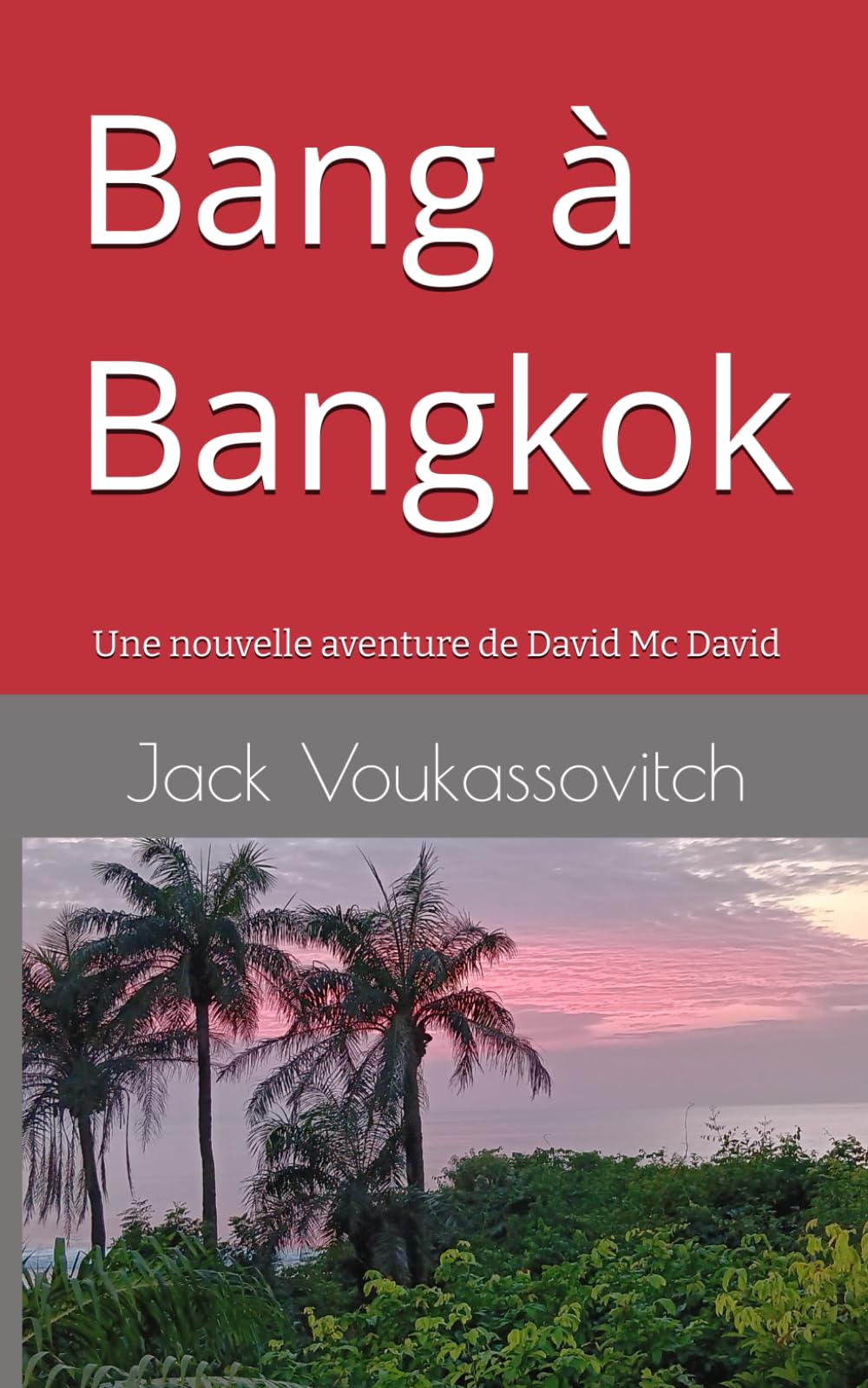 Bang à Bangkok: La deuxième aventure de David Mc David book