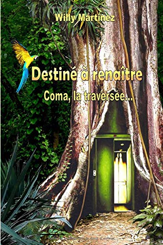 Déstiné à renaître: Coma, la traversée... book
