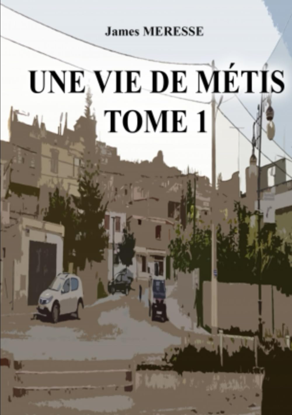 Une vie de métis: Tome 1 book