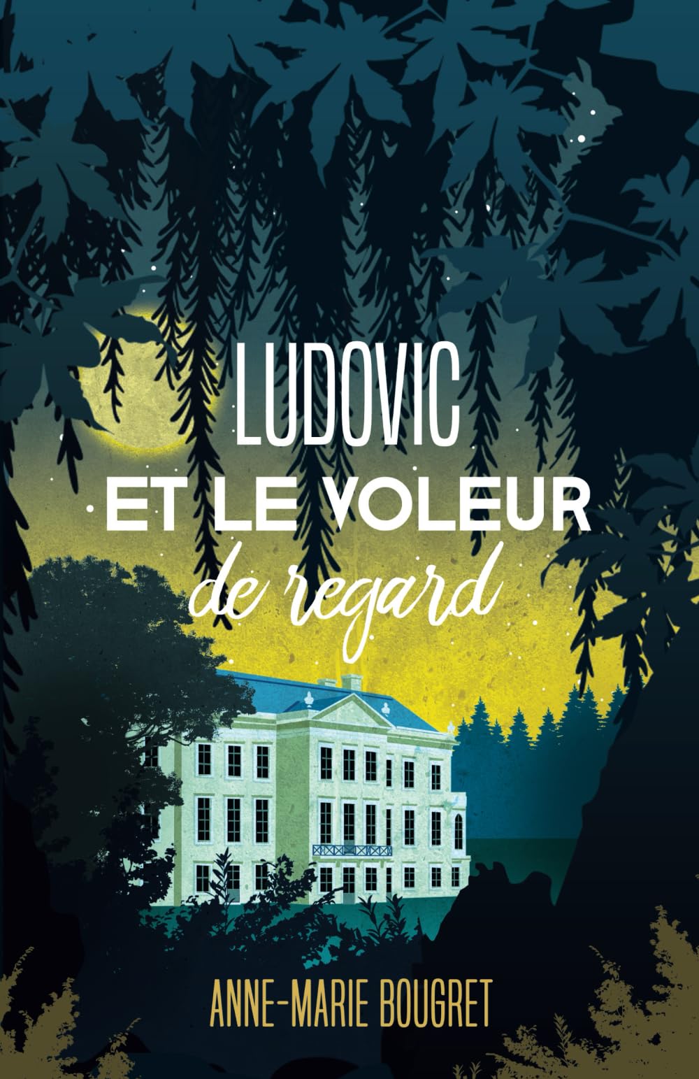 Ludovic et le voleur de regard book