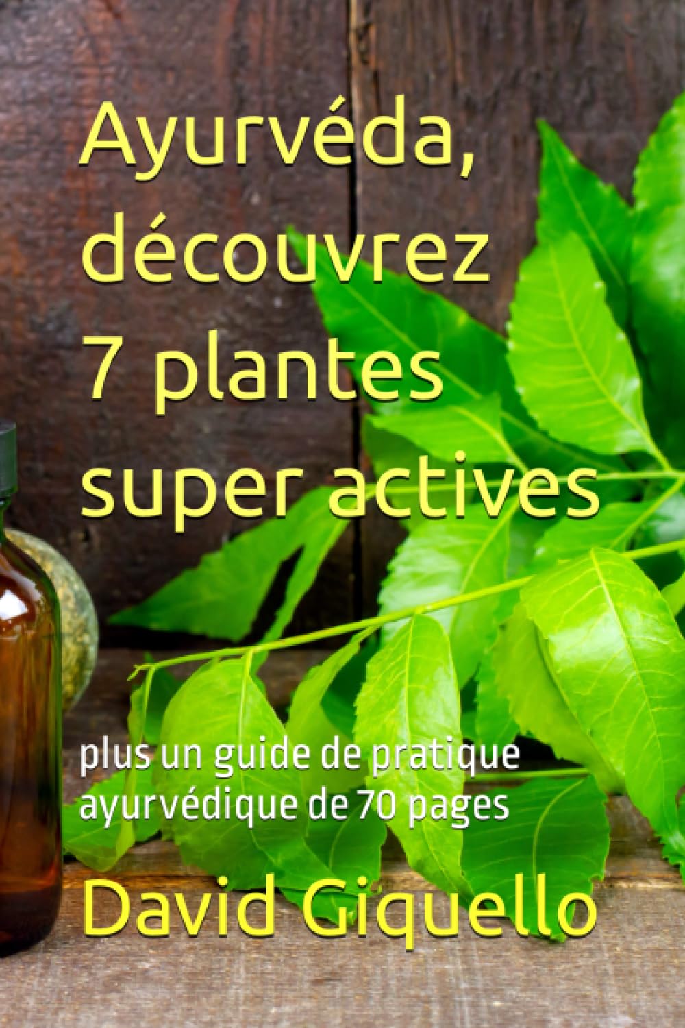 Ayurvéda, découvrez 7 plantes super actives: plus un guide de pratique ayurvédique de 70 pages book