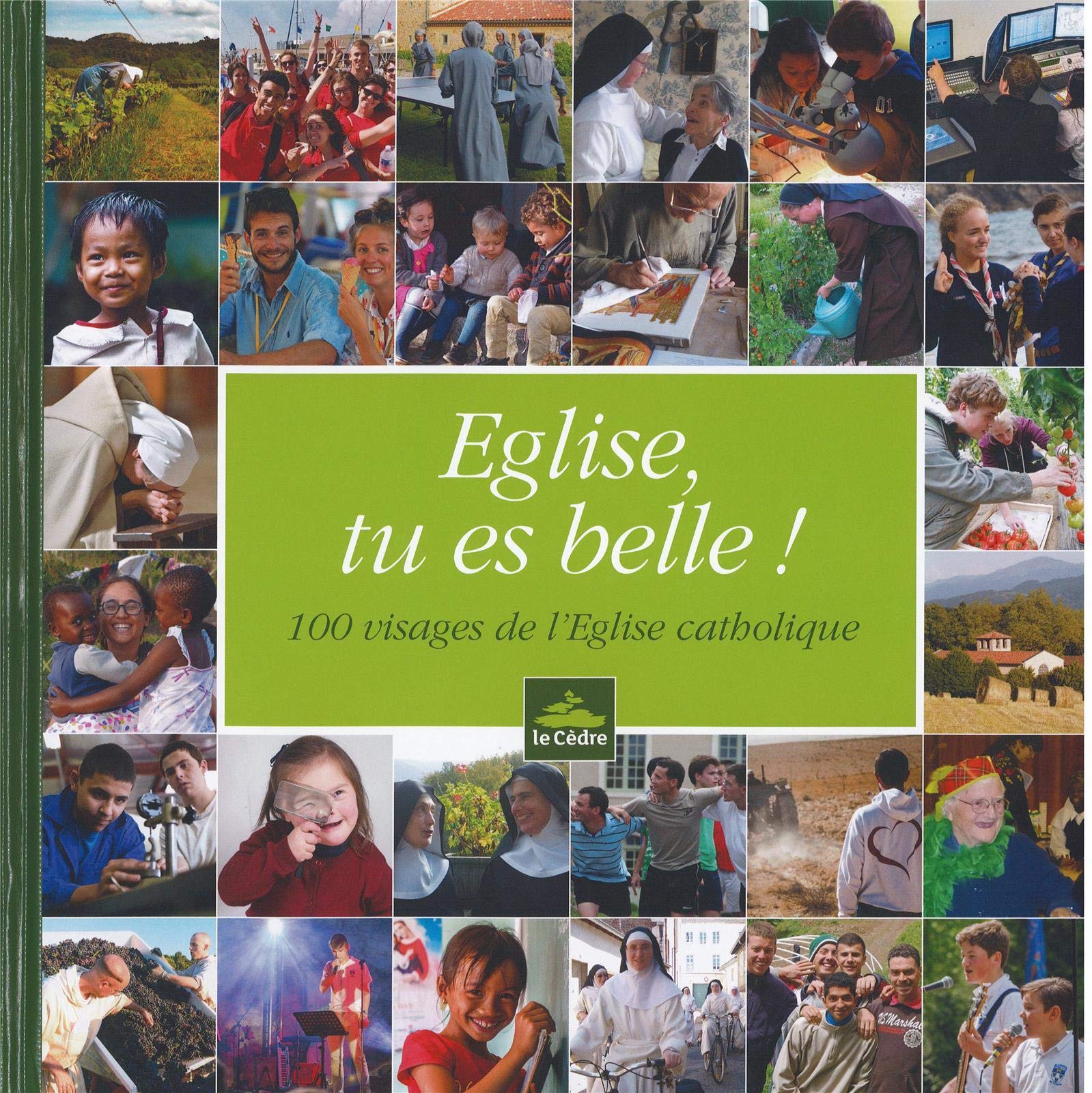 Eglise, tu es belle ! - 100 visages de l'Eglise catholique Religion & Esotericism