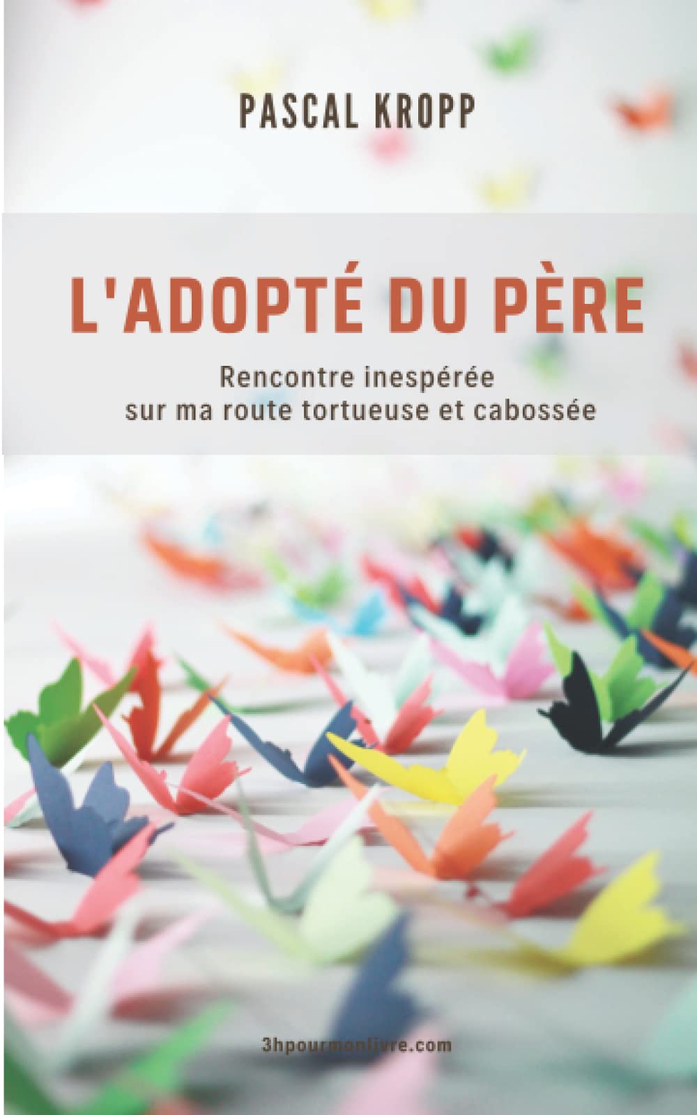 L'adopté du Père: Rencontre inespérée sur ma route tortueuse et cabossée book