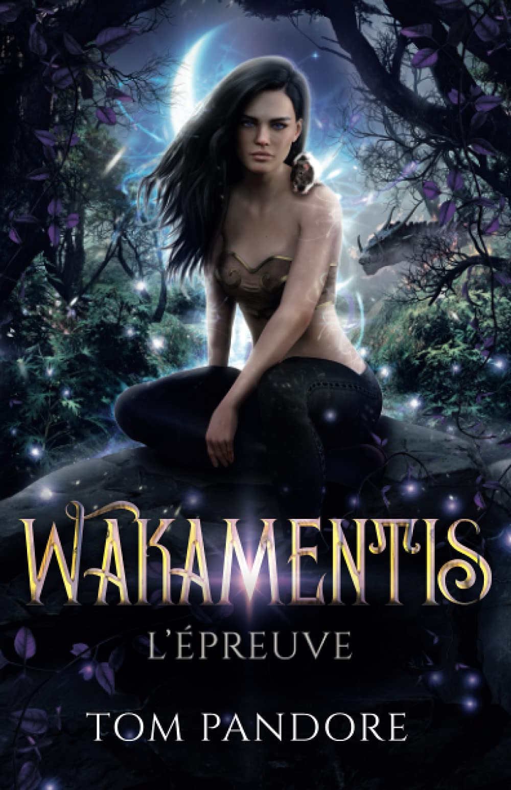 Wakamentis - Tome 1 : l'Agoywa book