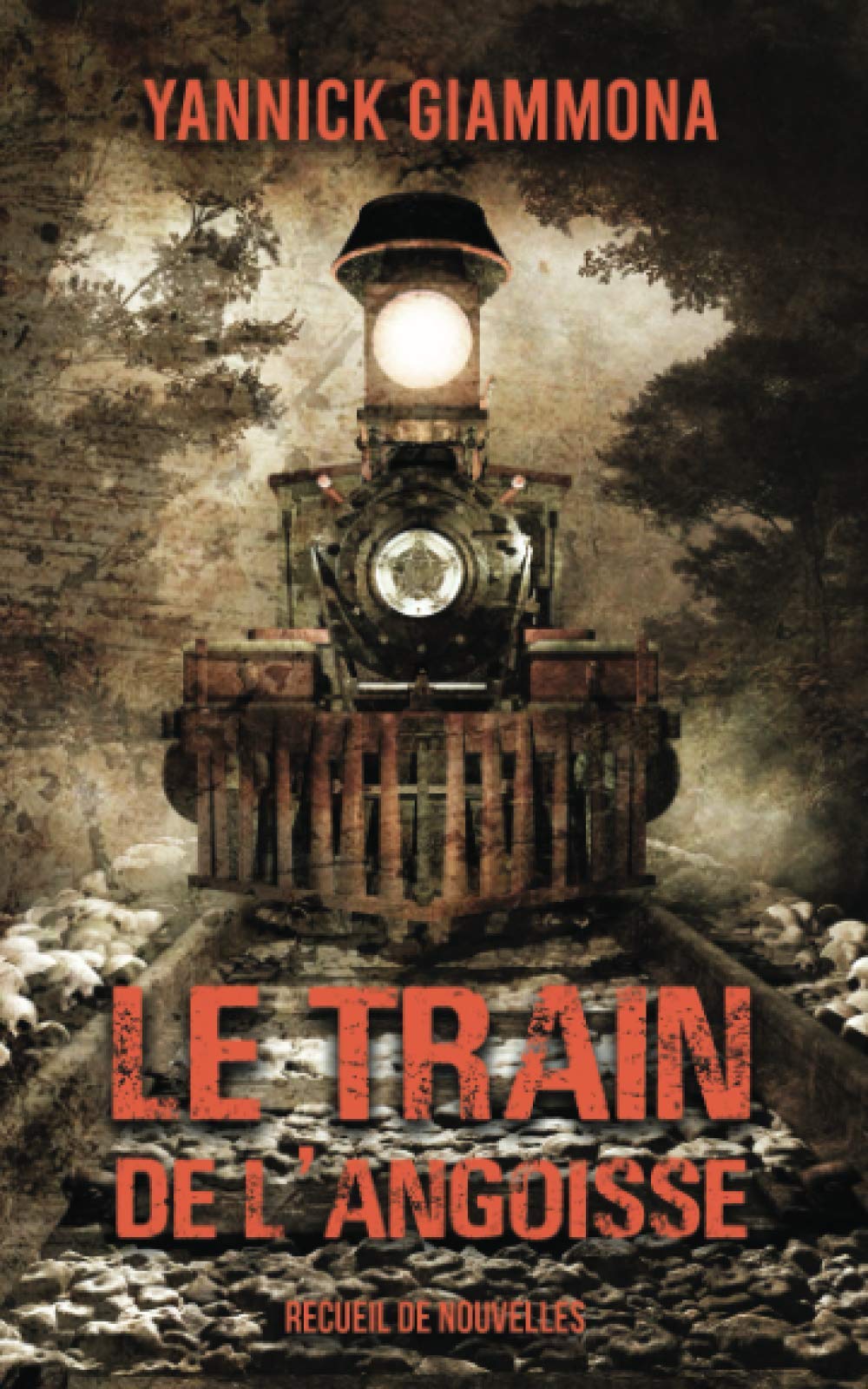 Le Train de l'Angoisse: recueil de nouvelles Horror & Mystery