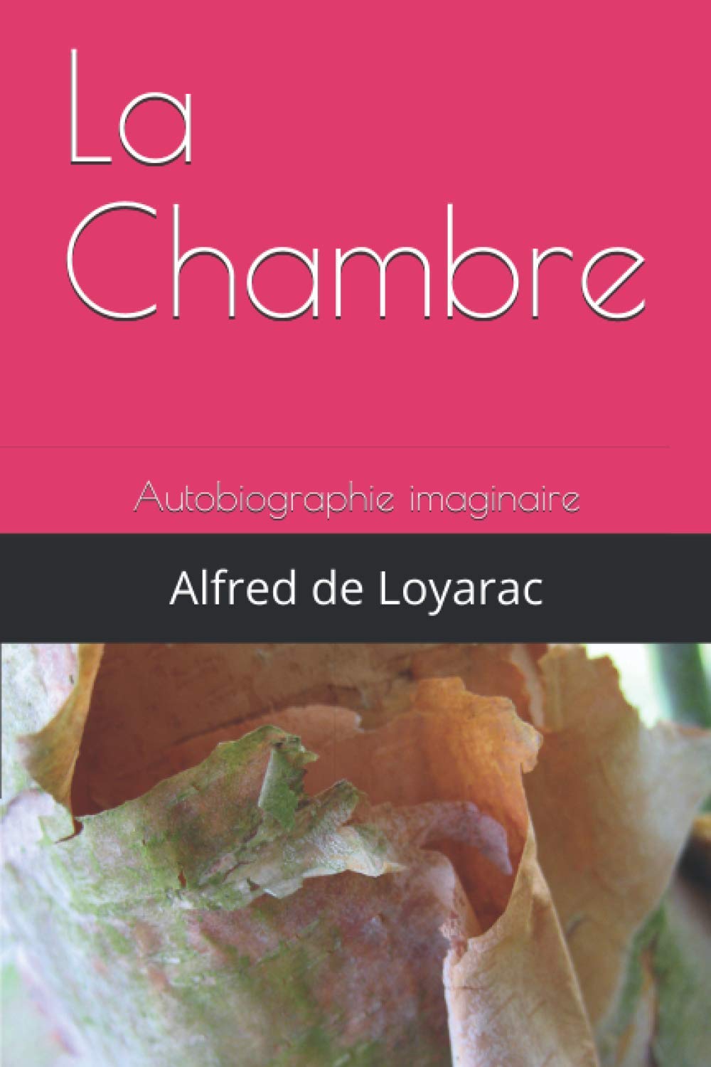 La Chambre: Autobiographie imaginaire Contemporary literature
