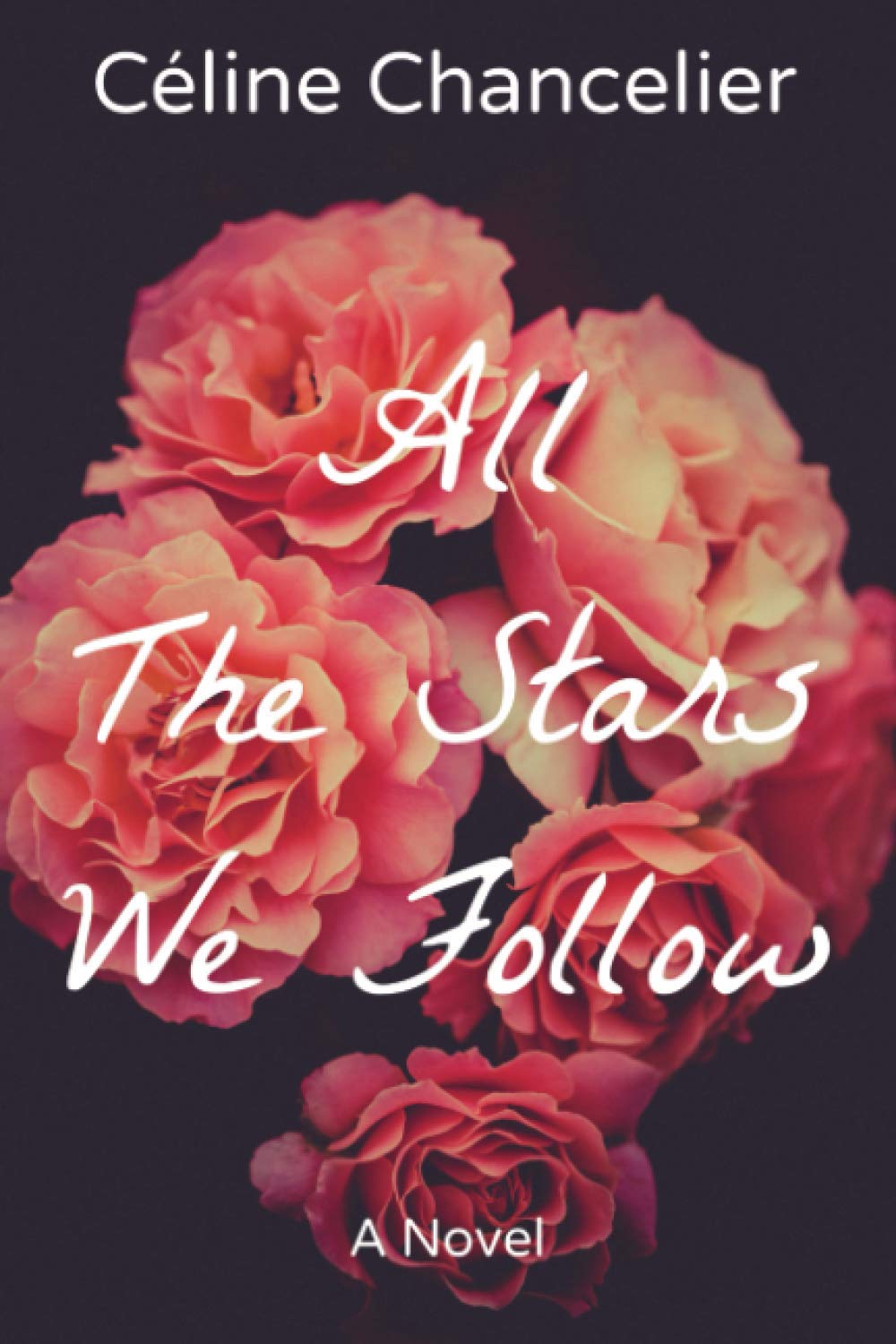 All The Stars We Follow book