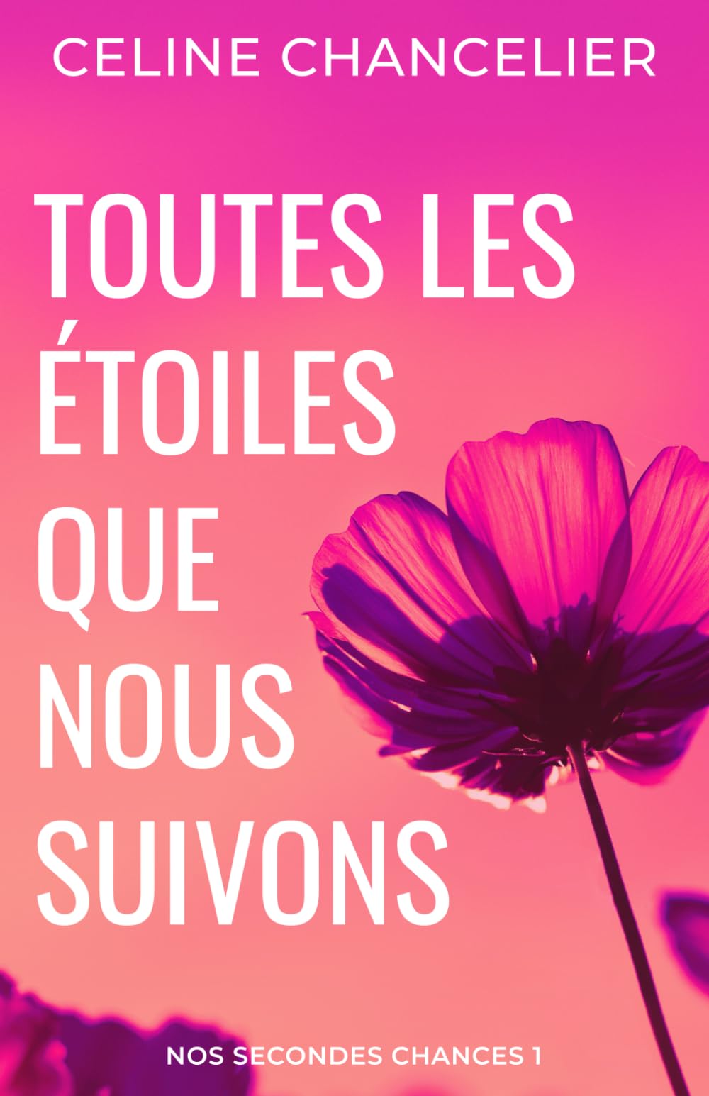 Toutes Les Étoiles Que Nous Suivons book
