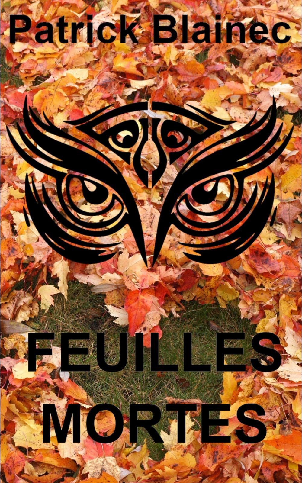 Feuilles Mortes: La première enquête du Capitaine Ernest "Le Hibou" Lapaillou Detective & CSI