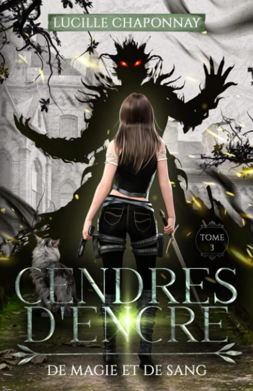 Cendres d'Encre: De Magie et de Sang T3 book
