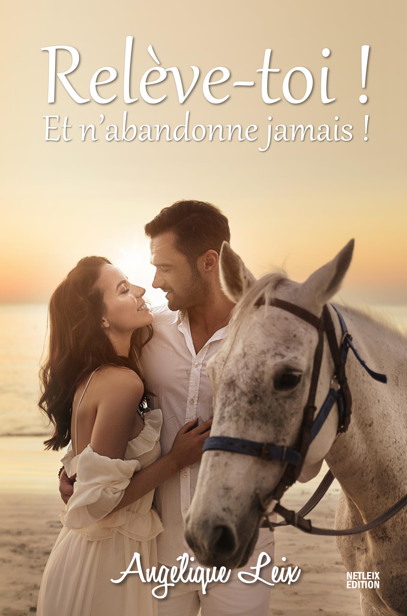 Relève-toi ! Et n'abandonne jamais ! book