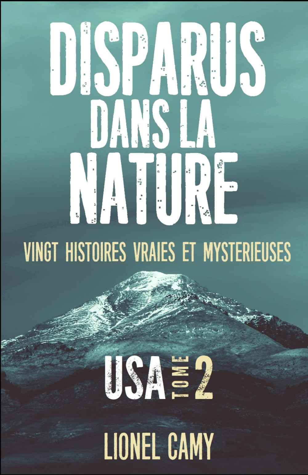 DISPARUS DANS LA NATURE : Vingt histoires vraies et mystérieuses (USA) - Tome 2 Politics & Society