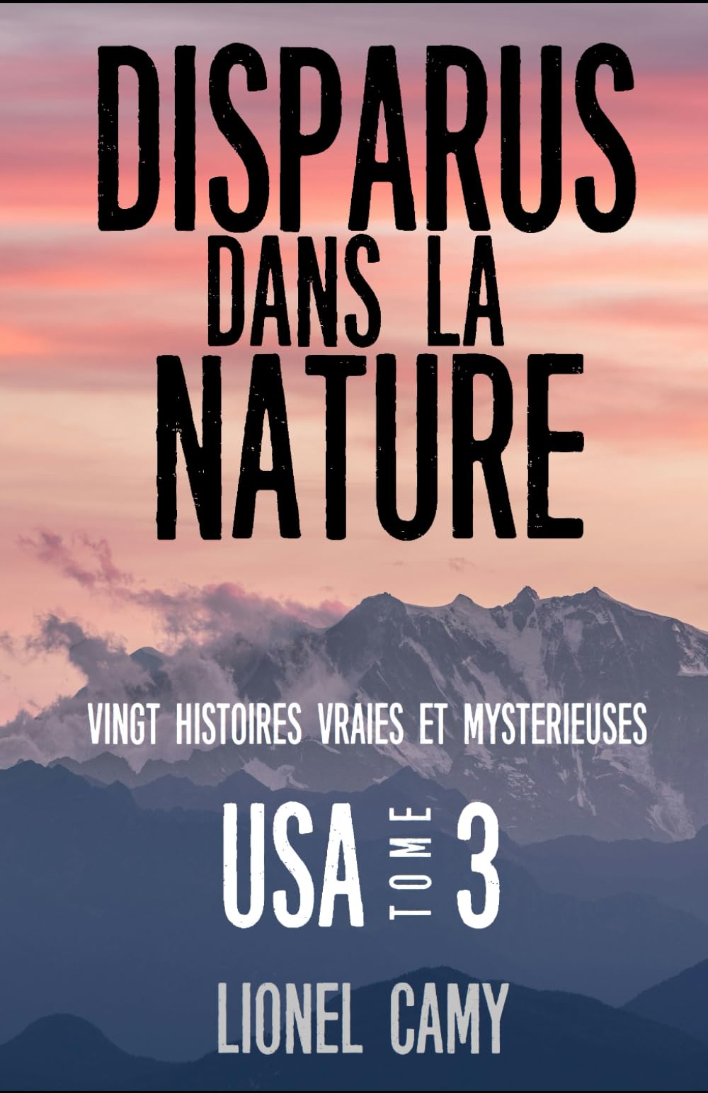 DISPARUS DANS LA NATURE : Vingt histoires vraies et mystérieuses (USA) - Tome 3 Reference Books