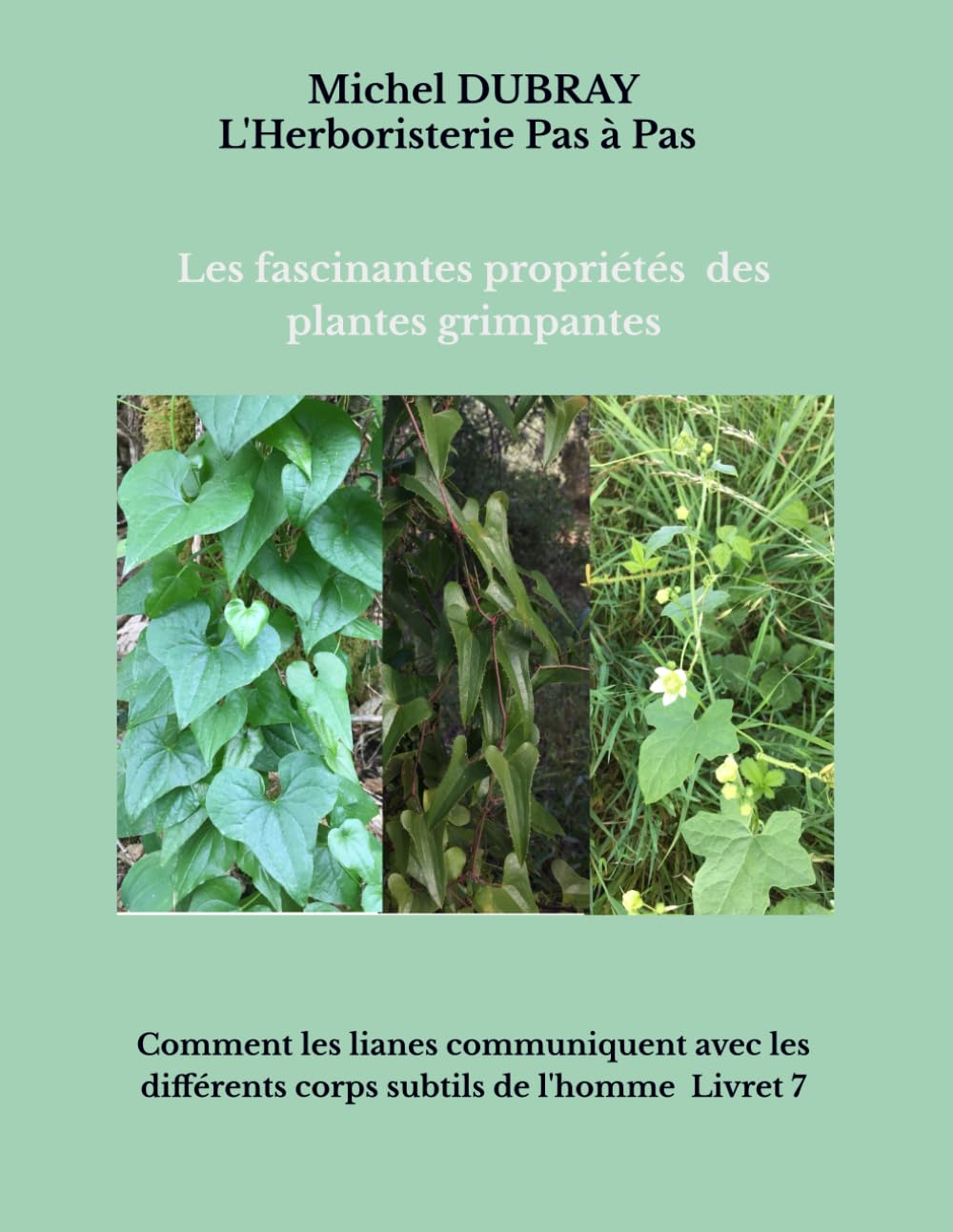 les propriétés fascinantes des plantes grimpantes: comment les lianes communiquent avec les différents corps subtiles de l'homme book
