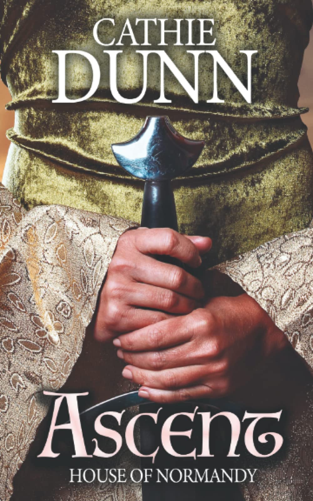 Ascent: A tale of danger, adversity, and love book