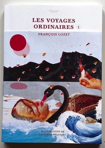 Les voyages ordinaires: Tome 2 book