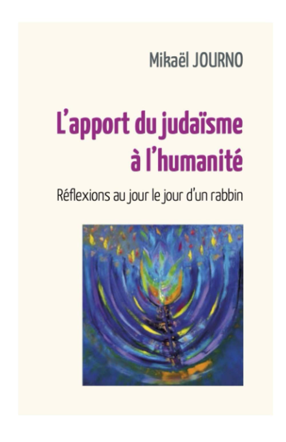 L'apport du judaïsme à l'humanité: Réflexion au jour le jour d'un rabbin Fiction