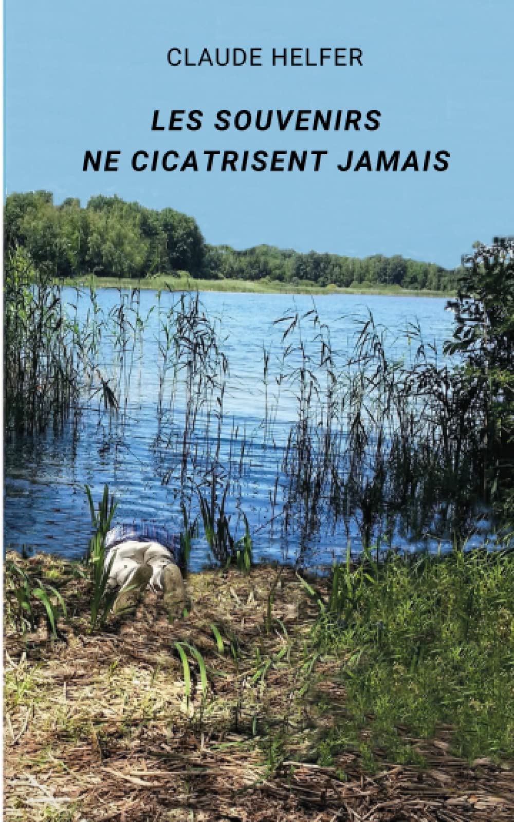 Les souvenirs ne cicatrisent jamais book