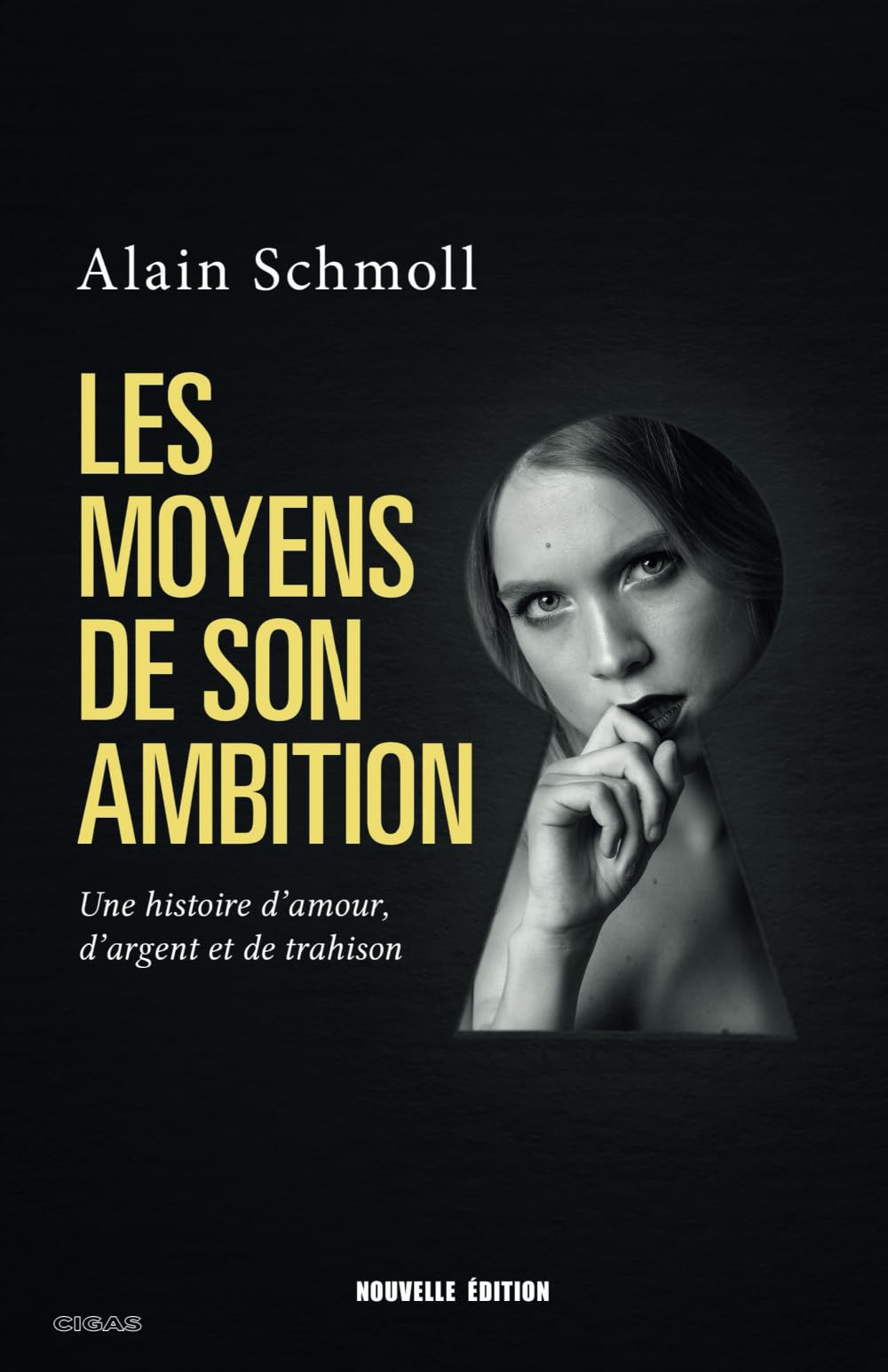 Les Moyens de son ambition, roman: Une histoire d’amour, d’argent et de trahison book