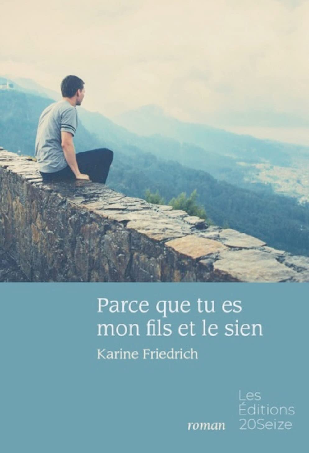 Parce que tu es mon fils et le sien Contemporary literature