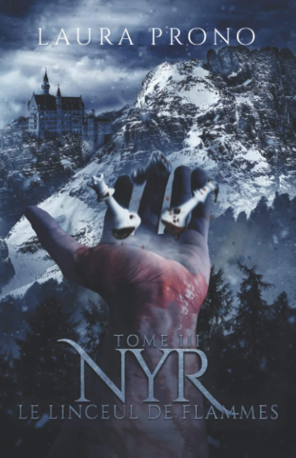 Nyr tome 3 : Le Linceul de Flammes book