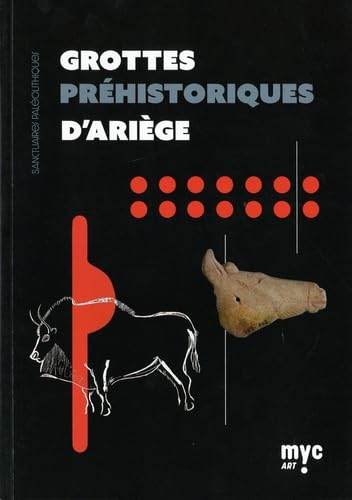 Grottes préhistoriques d'Ariège: Sanctuaires paléolithiques Books