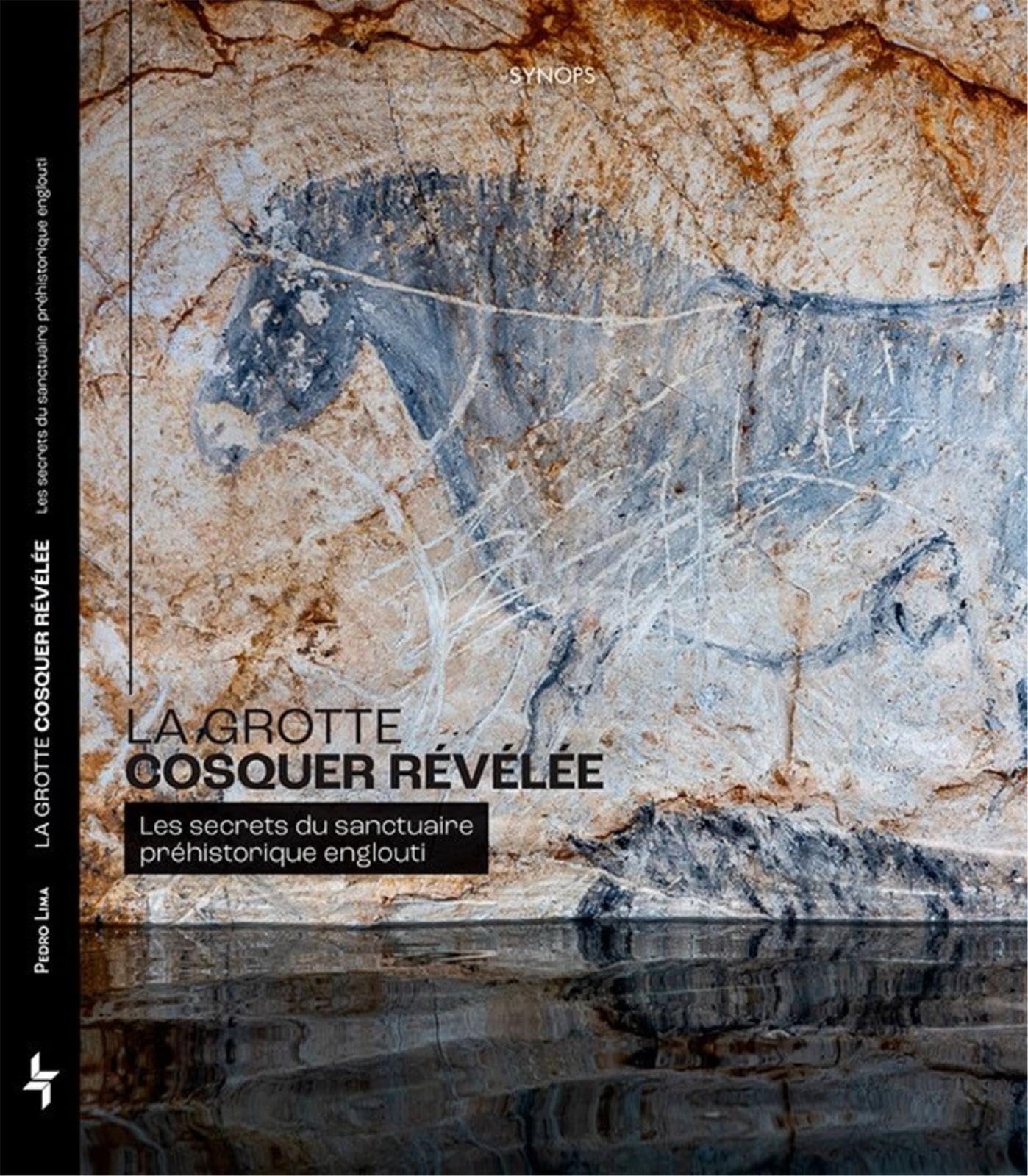 La grotte Cosquer révélée : Les secrets du sanctuaire préhistorique englouti Politics & History