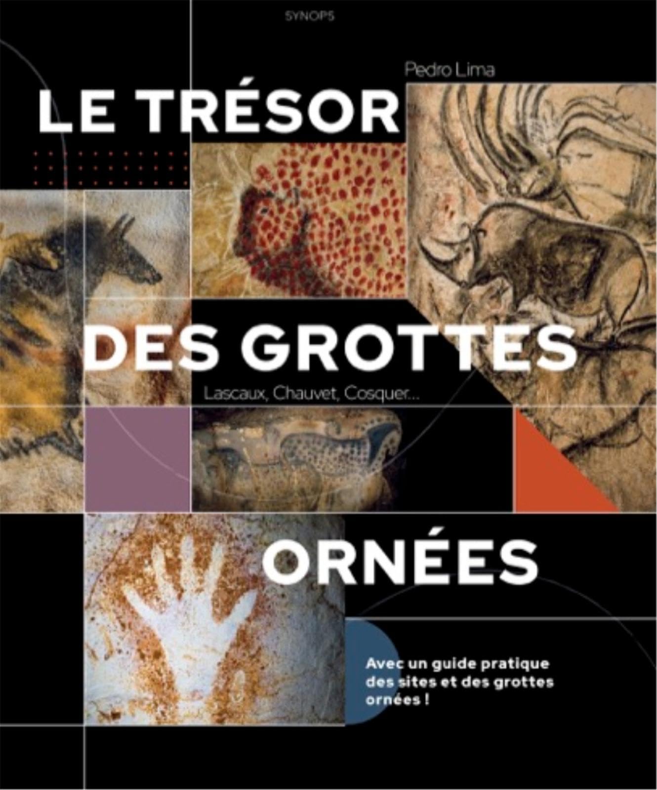 Le trésor des grottes ornées : Lascaux, Chauvet, Cosquer... Politics & History
