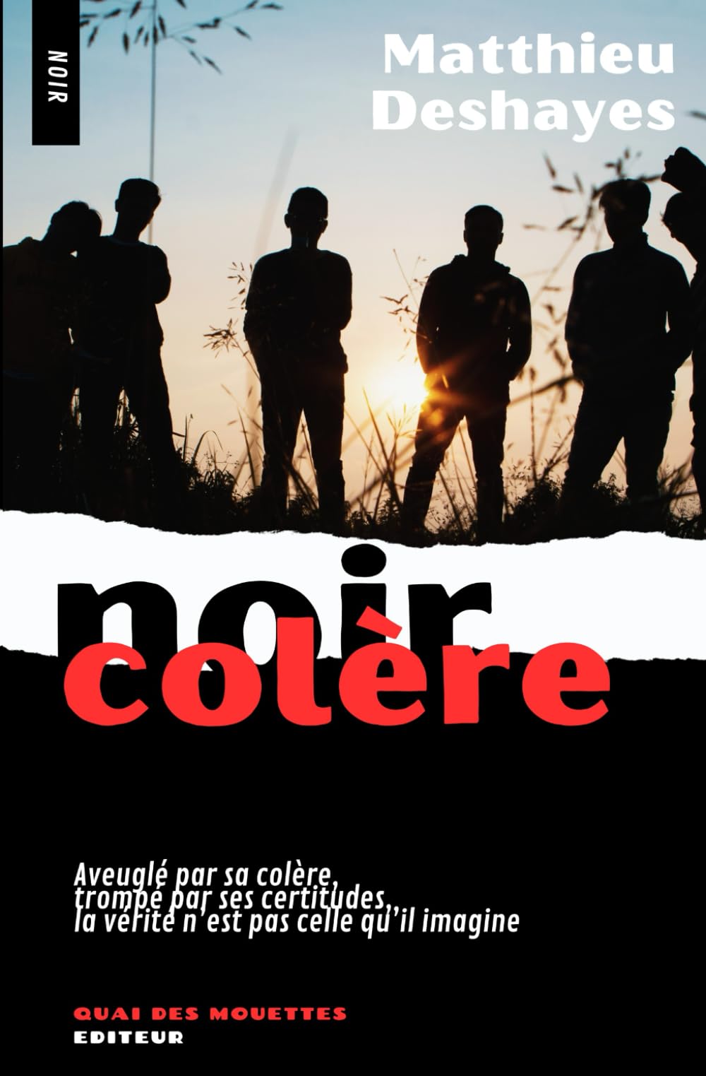 noir Colère: la vérité n'est jamais celle qu'on imagine book